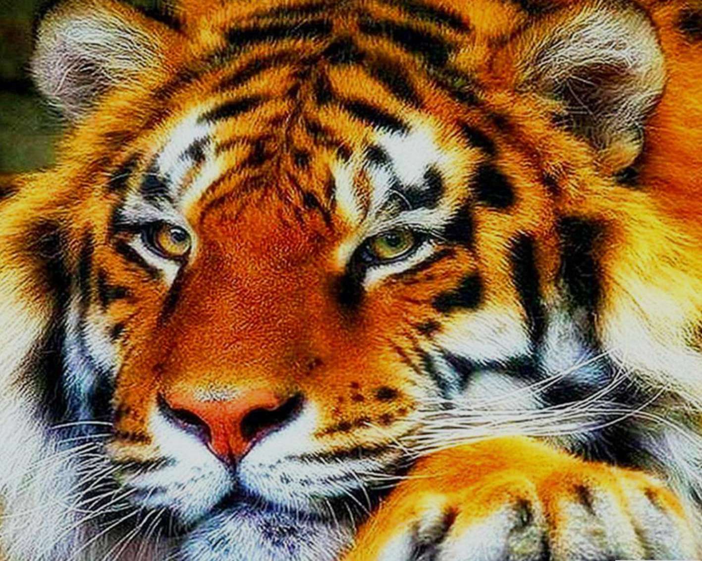 Бенгальский тигр (подрамник)
