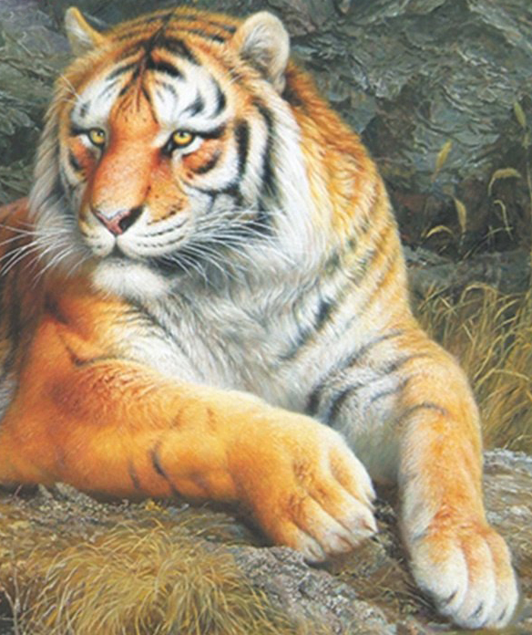 Одинокий тигр (подрамник)