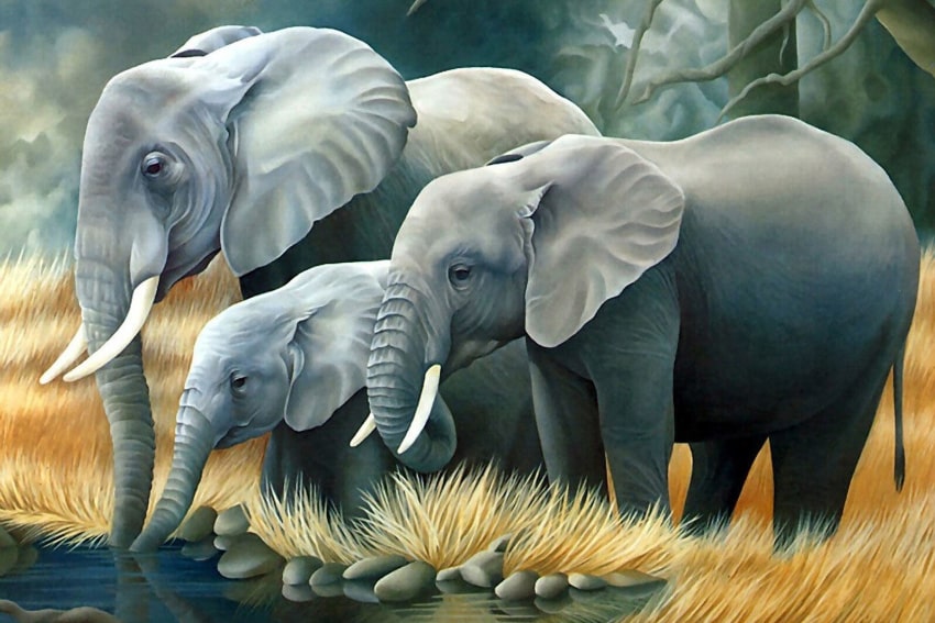 Слоны на водопое (подрамник)