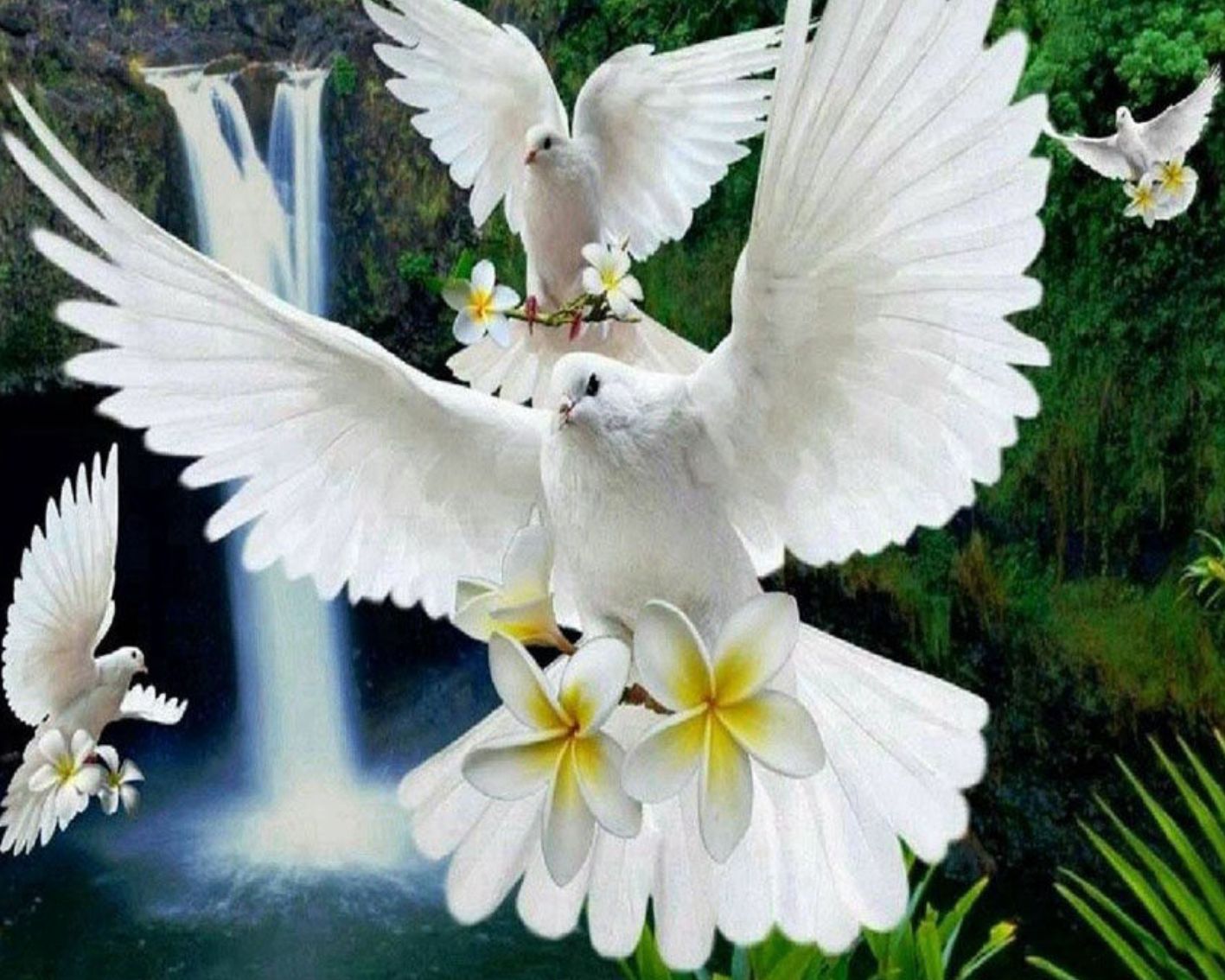 Птицы мира и любви (подрамник)